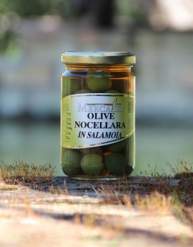 Olive-Nocellara-ml.314