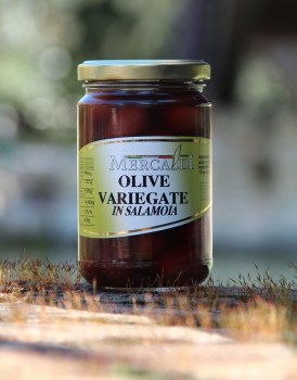 Olive-Variegate-ml.314