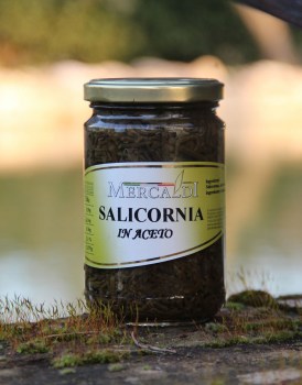 Salicornia-in-Aceto-ml.314